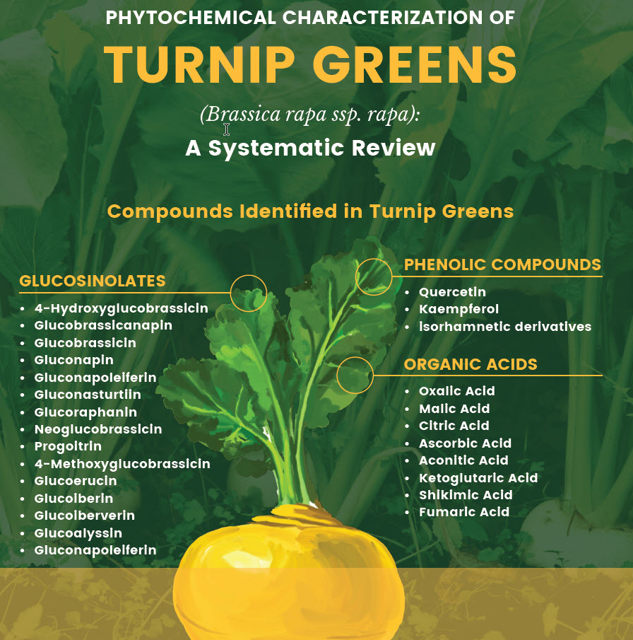 A yellow turnip is illustrated with green leaves in the background. Text details compounds in turnip greens: glucosinolates, phenolic compounds, and organic acids. Title reads: