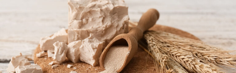 Blocks of yeast sit on a wooden surface alongside a scoop filled with yeast granules and stalks of wheat, all set on a light wooden table.