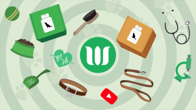 Various pet care items, such as food, grooming tools, stethoscope, and leash, surround a central green icon with a 