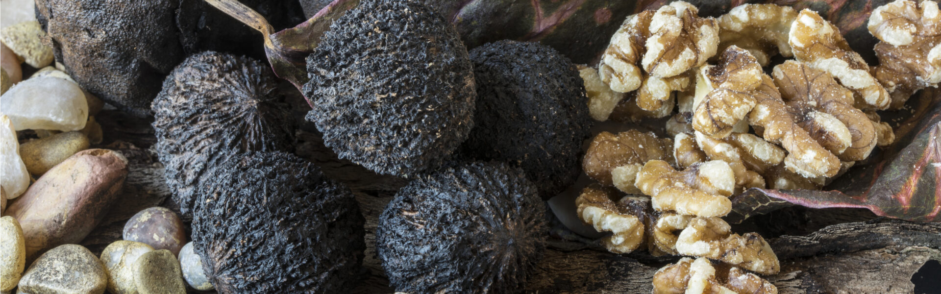 Black walnuts rest on a wooden surface, surrounded by walnut halves, smooth stones, and a large leaf, creating a rustic and natural arrangement.