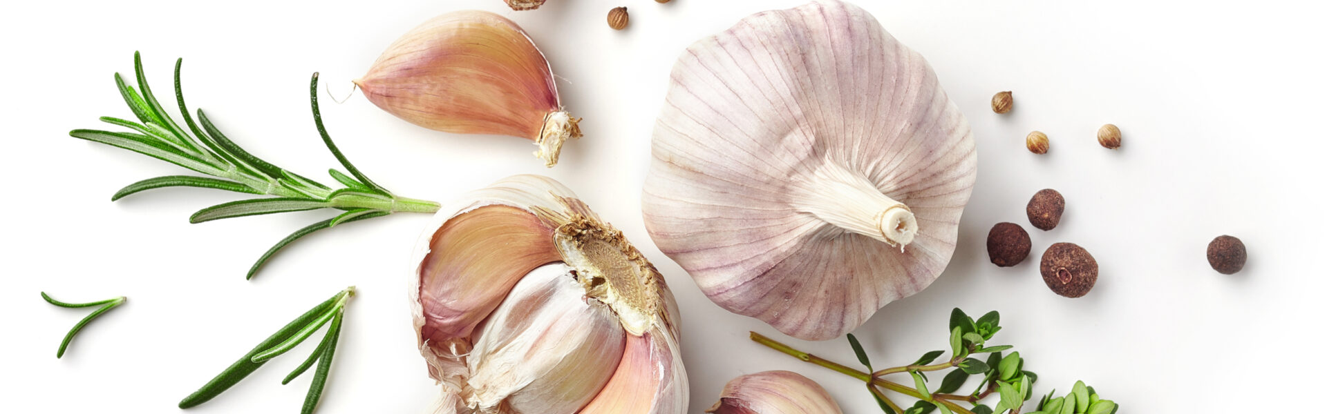 Garlic bulb and cloves rest among sprigs of rosemary and thyme, surrounded by coriander and allspice peppercorns, set against a white background.