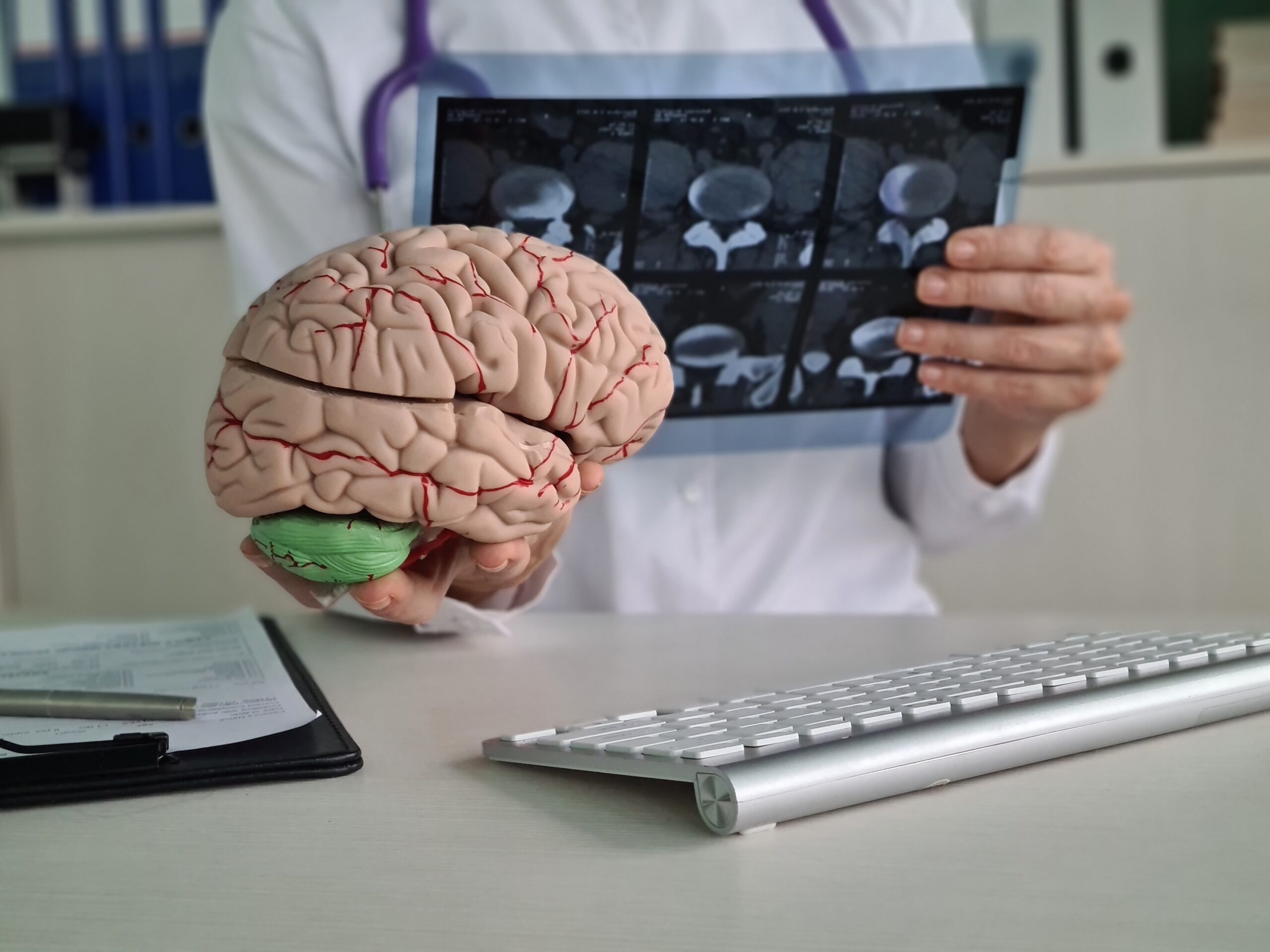 A person in a lab coat holds a brain model and examines brain scans, seated at a desk with a keyboard and documents, suggesting a medical or educational setting.