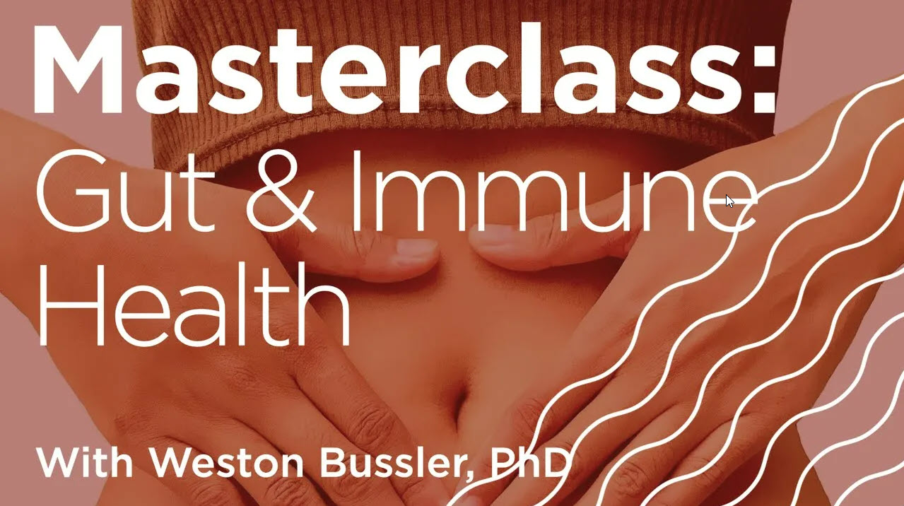 Hands gently rest on a person's abdomen, surrounded by text: "Masterclass: Gut & Immune Health With Weston Bussler, PhD." Wavy lines decorate the right side.