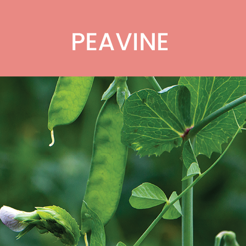 peavine whole food advantage tile