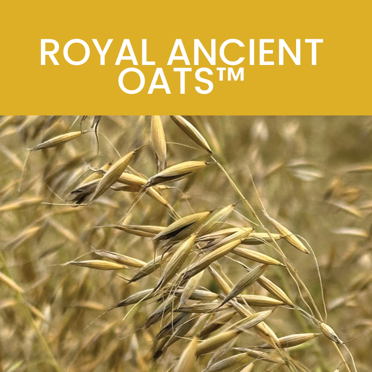 Royal Ancient Oats™: Whole Food Profile