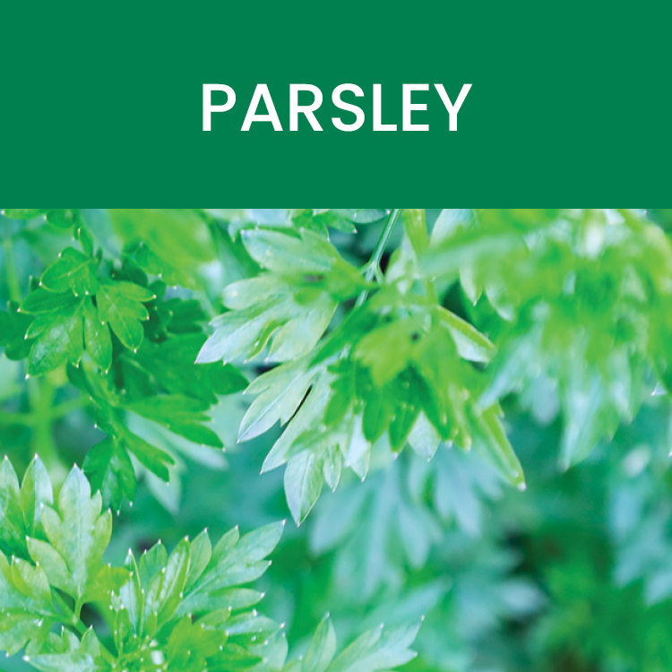 Parsley: Whole Food Profile