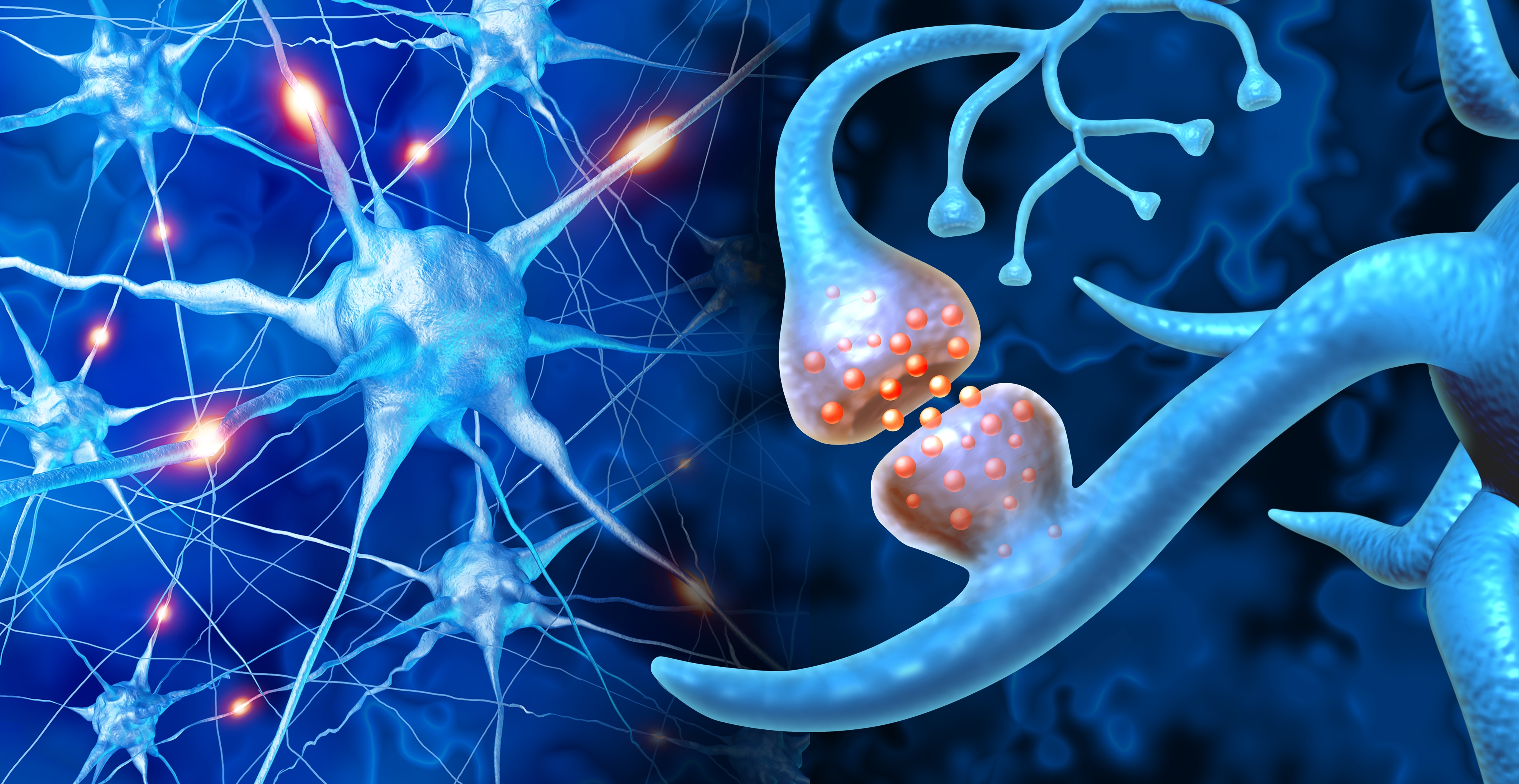 neural pathways in the brain
